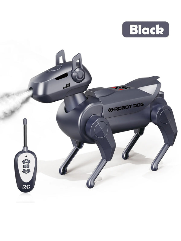 Remote Control Robot