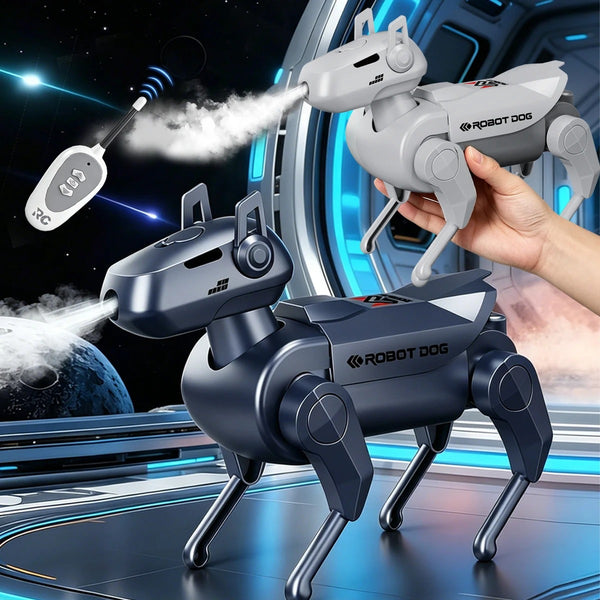 Remote Control Robot